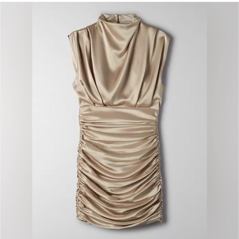 NWT Aritzia Babaton dress